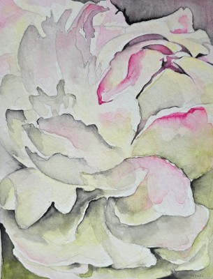 Aquarellbild einer abstrakten  Pfingstrose in Rosa- und Blautönen